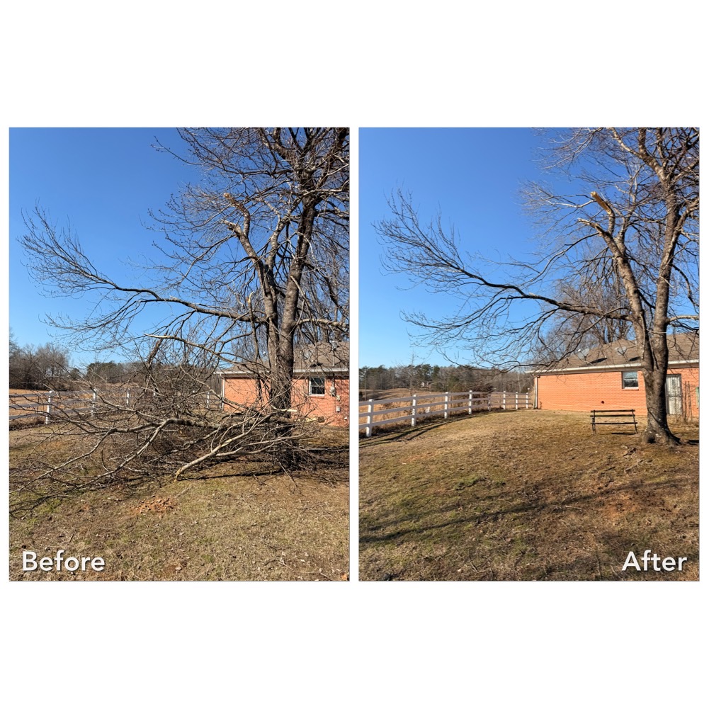 Rapid Recovery Storm Debris Cleanup In Oxford, MS